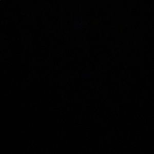 Meet your Posher, Timothy